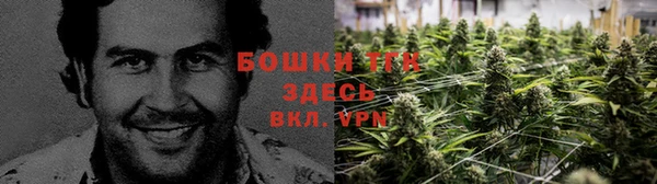 мдпв Волоколамск