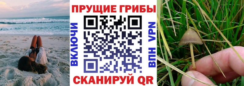 Галлюциногенные грибы прущие грибы Черкесск